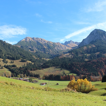 Hundetreffen 2016 im Allgäu (6)